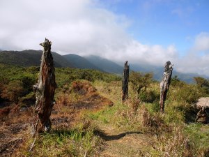 Mt Purgatory Peak at 2,190 MASL