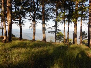 early morning views at Tambaw Campsite