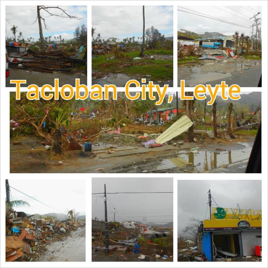 798402_10202519747734812_207182482_o