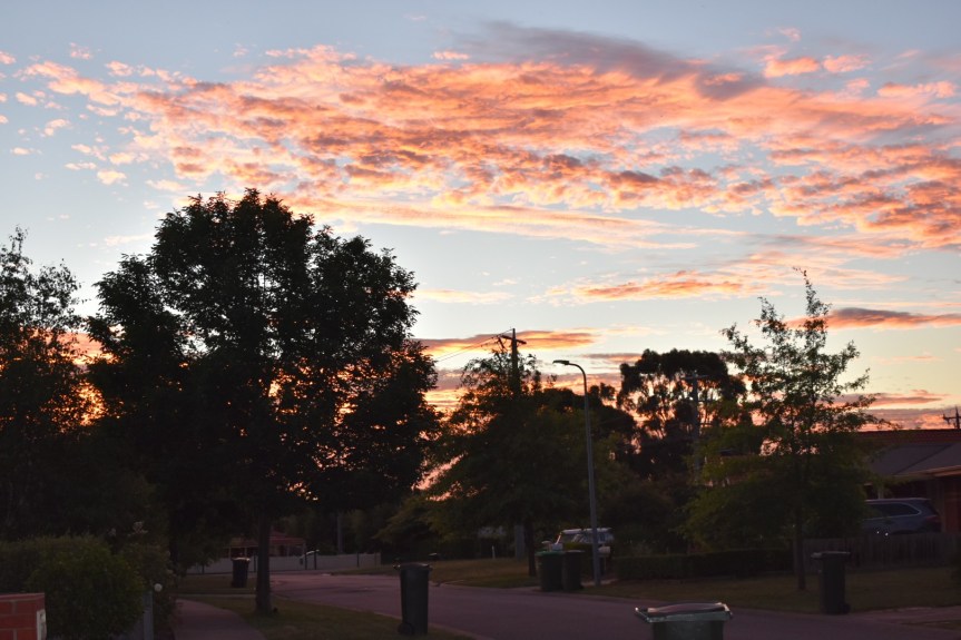 unfiltered-1st-shots